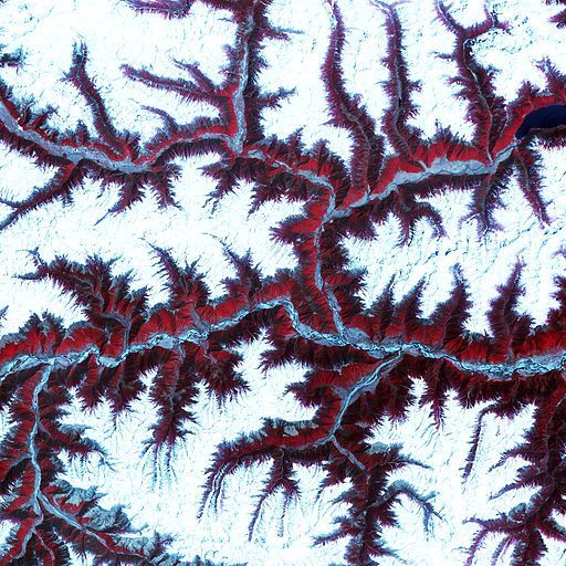 Why the politics of language needs examples from beyond the Global North