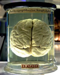 Human and Machine Consciousness - a systematic approach