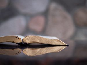 Green, Gold, Diamond, Black – what does it all mean?