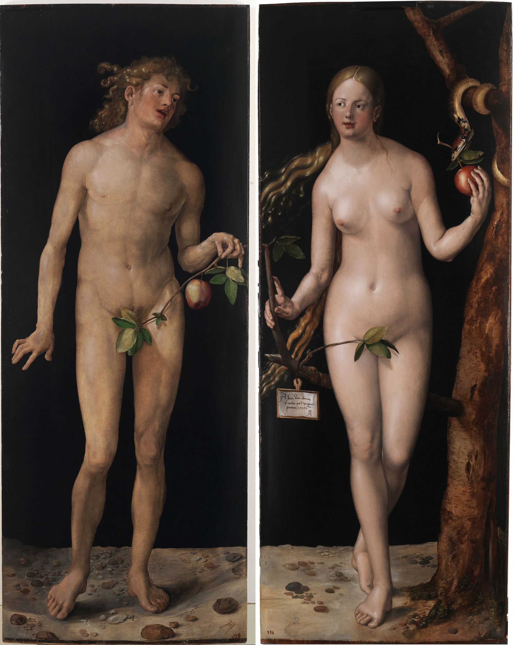 Gallucci's Commentary on Dürer’s 'Four Books on Human Proportion': Renaissance Proportion Theory