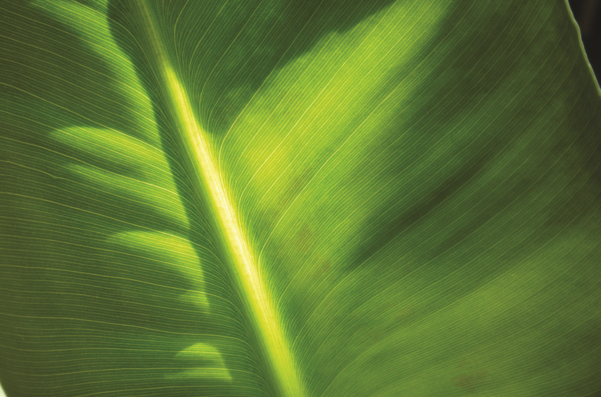 1,000 pages of evidence for conservation actions