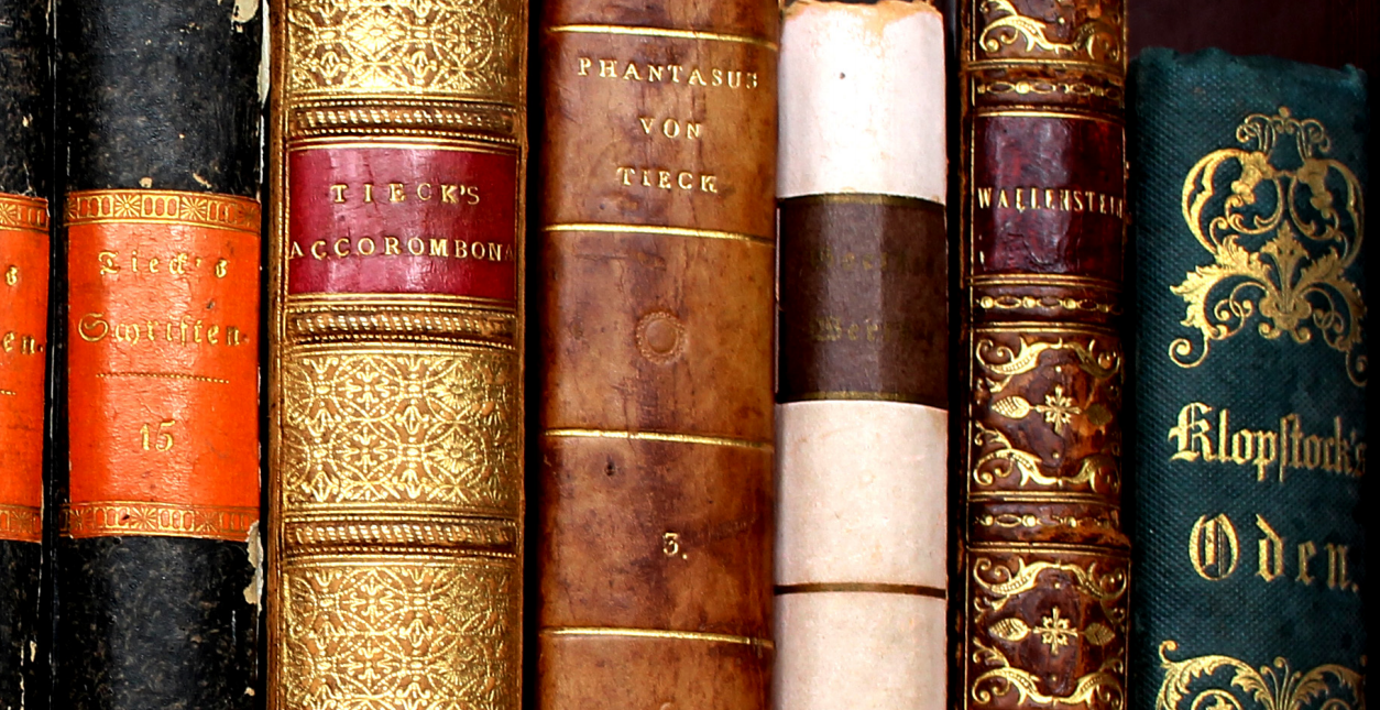 A View From under The Horse’s Tail. New Perspectives on Literature?
