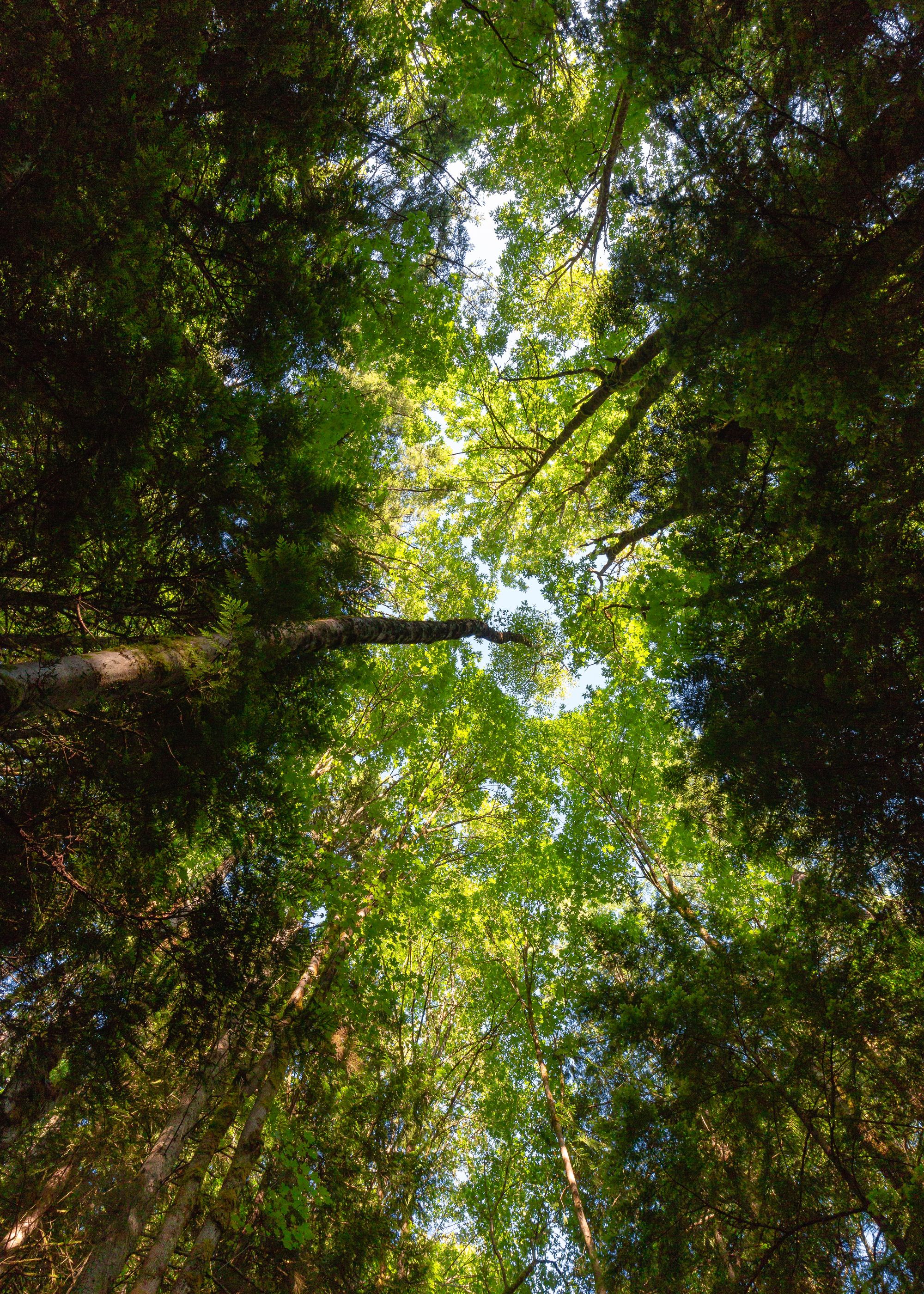 Transforming Conservation: A Practical Guide to Evidence and Decision Making