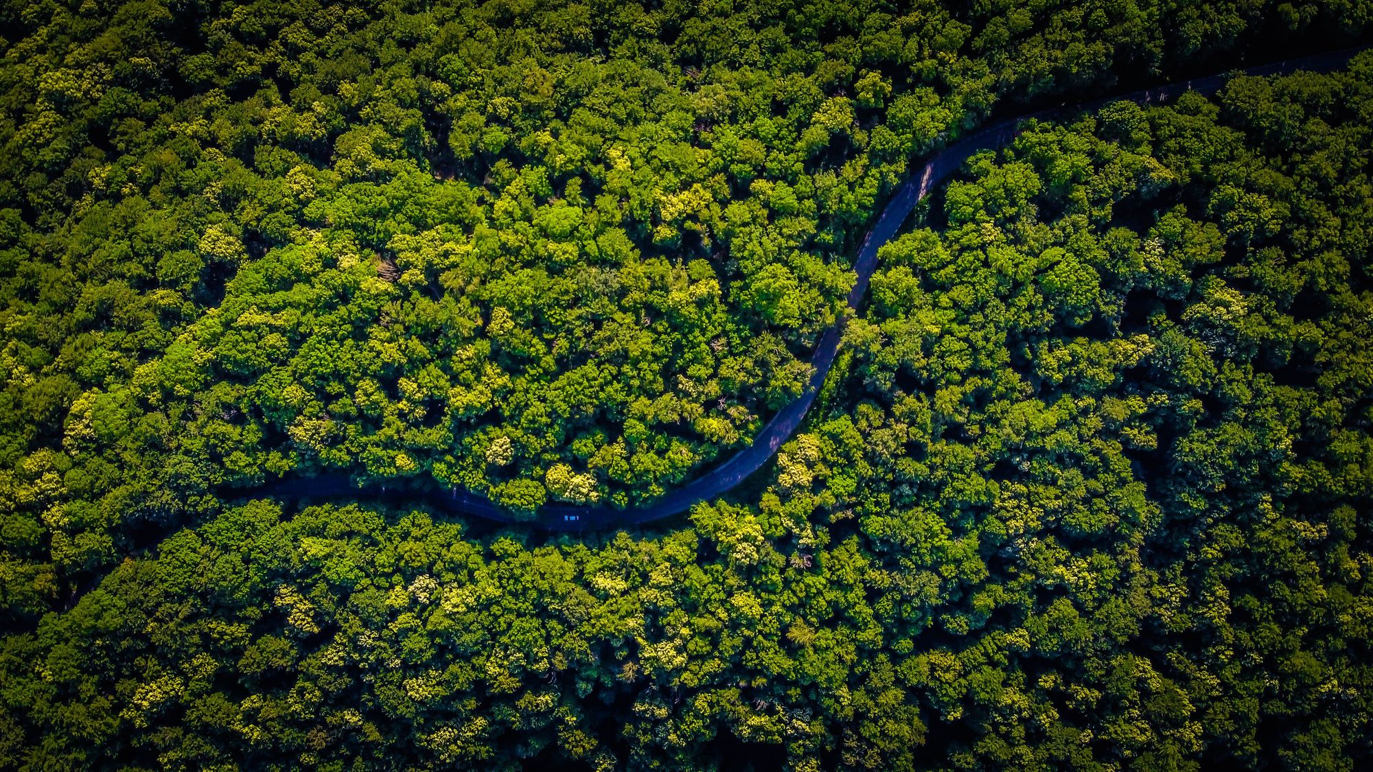 Greening Europe: Powering the argument for green investment during challenging times