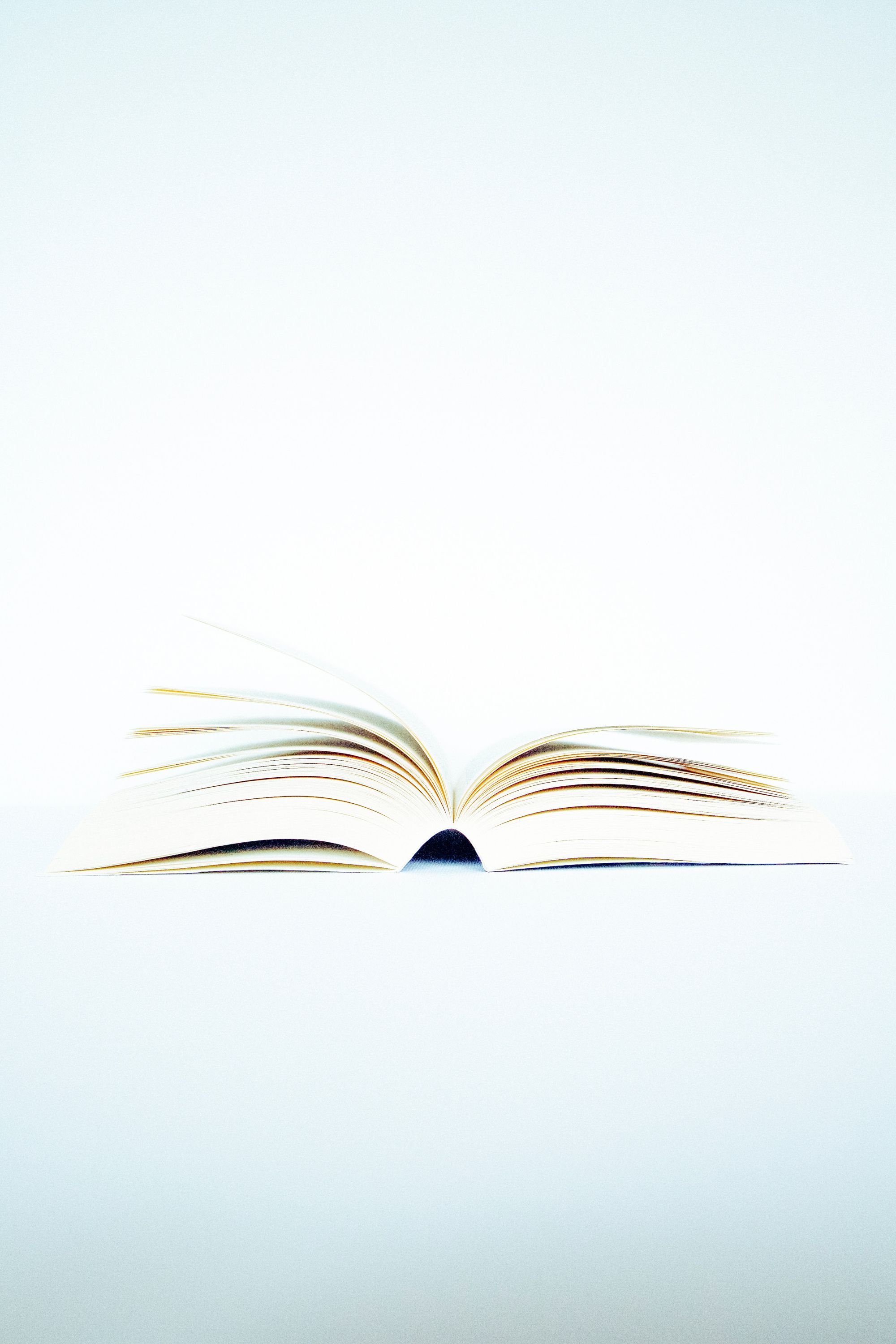 15 Years of Open Book Publishers: An Interview with Alessandra Tosi and Rupert Gatti