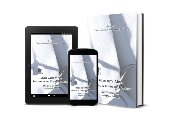 The EU Energy Transition: Doing More with More